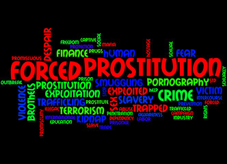 Forced Prostitution, word cloud concept 4