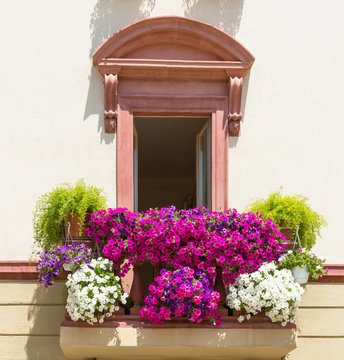 Balcone con fiori di petunia