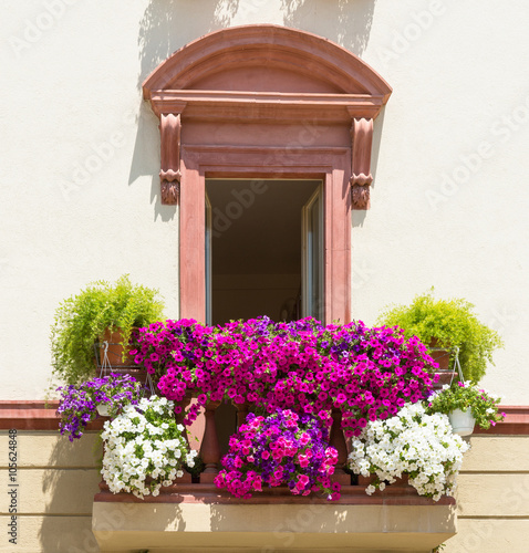 Balcone con fiori di petunia