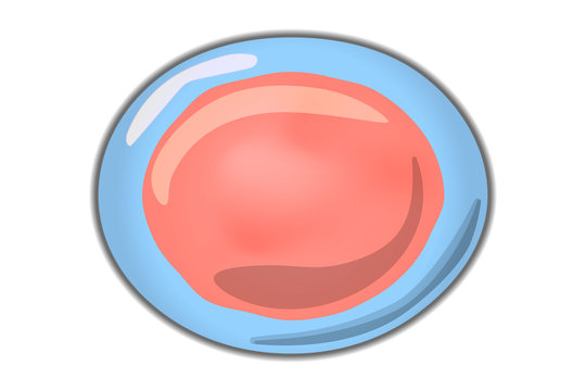 Cartoon simple single living cell 
