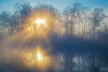 Morning fog on a lowland river