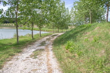 Fototapeta premium campagne e colline livornesi
