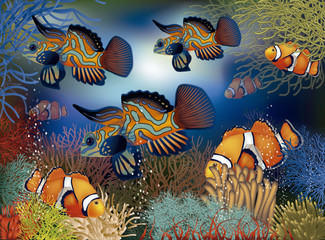Naklejka na ściany i meble Underwater banner with tropical fish, vector illustration