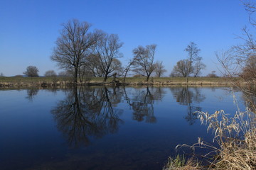 Havellandschaft bei Gülpe im Naturpark Westhavelland