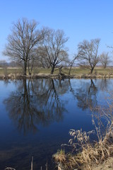 Havellandschaft bei Gülpe im Naturpark Westhavelland