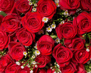 Natural red roses background