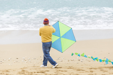 kite, man on the beach , green monday
