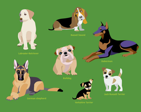Dogs breed set isolated vector illustration
