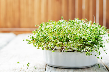 sprouts in a white bowl