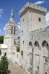 Fototapeta na wymiar Pabstpalast in Avignon, Frankreich