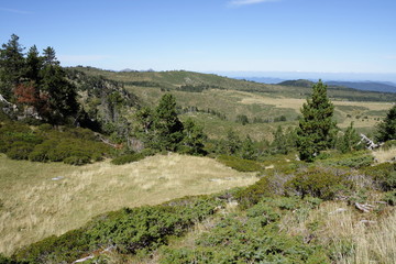 Fototapeta na wymiar Massif de Madres, Pyrénées audoises