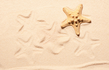 Fototapeta na wymiar Starfish and marks of starfish on sand