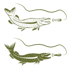 set of pike and lure vector design template