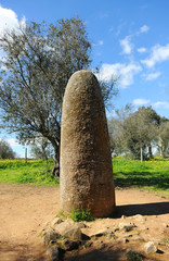 Alentejo, menhir of the almond trees, menhir dos Almendres, Portugal, southern Europe