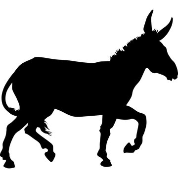 silhouette of a donkey 
