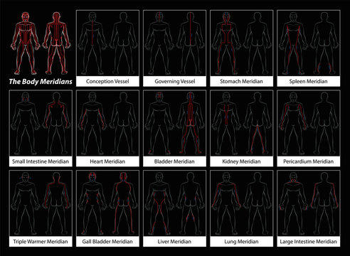 Body meridians - Detailed diagram with main acupuncture meridians, anterior and posterior view. Isolated vector illustration on black background.