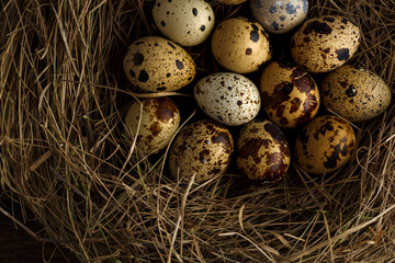 Obraz premium Quail eggs in a nest on a wooden rustic background