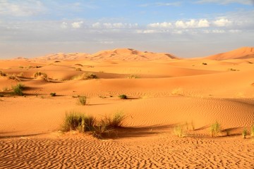 Fototapeta na wymiar Sanddünen in der Morgensonne im Erg Chebbi, Sahara (Marokko)