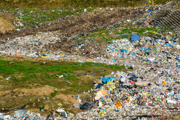 big dump next to forest