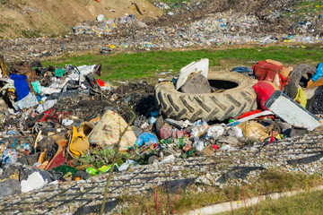 big dump next to forest