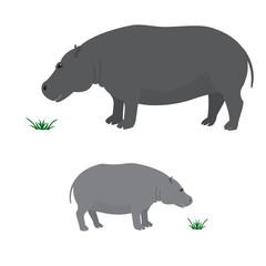 Big and little hippo