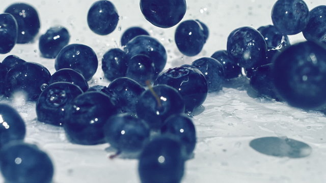 Wet blueberries with water drops on the desk, white background