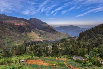 Fototapeta na wymiar Beautiful view of the mountainous part of the island of Sri Lanka in the district of Nuwara Eliya