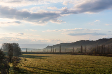 morning rural landscape