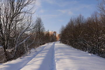 Тропинка в снегу зимним солнечным днем