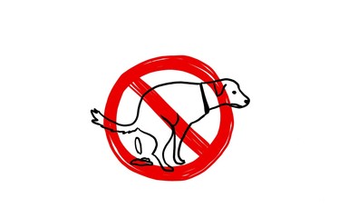Déjections canines : interdit sur la voie publique