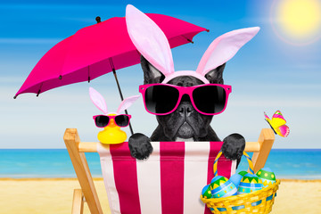 easter bunny dog at the  beach