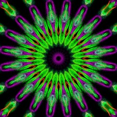 Fototapeta premium Mandala Blume