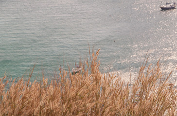 Green meadow under blue sky with clouds