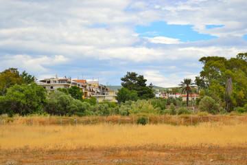Summer landscape in Greece.