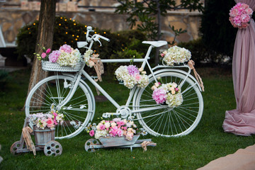 Fototapeta premium Bicicleta