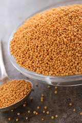 fresh dry yellow mustard seeds