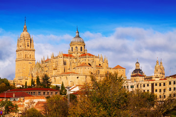 Fototapeta na wymiar Cathedral of Salamanca in autumn day