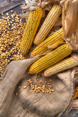 Dried corn cob © fotografiche.eu