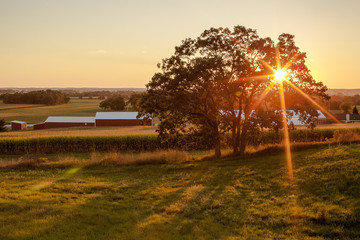 Farm Starburst