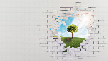 Nature beyond the cement