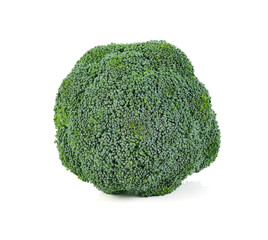 Fresh Broccoli vegetable isolated on white background