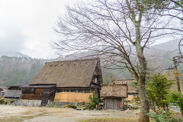 Fototapeta na wymiar Rainy Day in Shirakawa Go (Shirakawa-go) JAPAN . The world heritage gassho zukuri houses in Ogimachi village