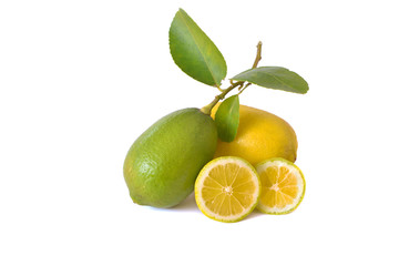 ripe and unripe lemon isolate on white background