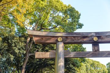 Naklejka premium Torii of Meiji-jingu in Tokyo, Japan. The most popular historical shrine in Japan