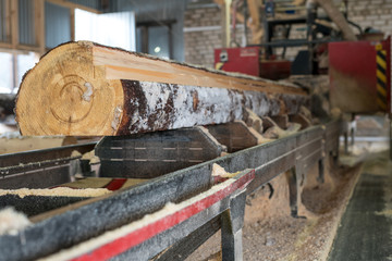 Sawmill. Sawing of log at modern machine