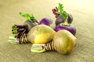 Swedish turnips with beets and purple turnip in background