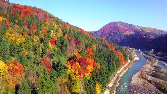 Aerial view of autumn Carpathians mountains