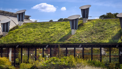 Green 'Living' Roof On Public City Library. Eco Friendly Building