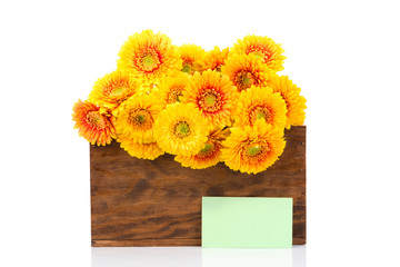 Bouquet of gerber flowers in the box and a greeting card on white background
