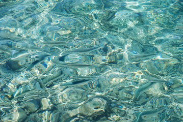 Many fish randomly swim in clear turquoise sea water